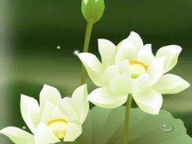 邪婬30年致膀胱癌,戒色行善能救他吗?