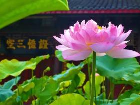 原来这些行为都属于邪婬!死后太吓人了!流通出去功德无量