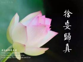 染上邪婬,一年级就要留级