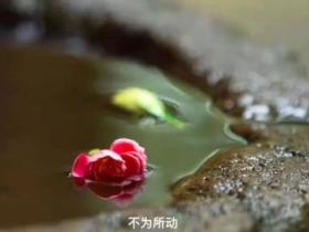 婚前不洁身自好,提前透支婚姻福报,婚后会不幸福
