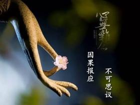 如何改造命运