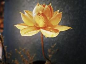 血泪哭诉:已堕胎妈妈写给打算堕胎妈妈的信!
